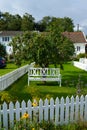 Whiyte park bench under an apple tree in a garden.. Royalty Free Stock Photo