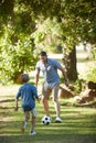 Who better to learn about football than dad. an adorable little boy playing soccer with his father in the park. Royalty Free Stock Photo