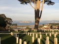 National Cemetery Presidio San Francisco Overlooking Alcatraz. Royalty Free Stock Photo