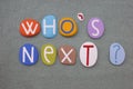 Who is next, creative question composed with multi colored stone letters over green sand