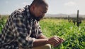 Those who respect the earth will be rewarded. a mature man using a digital tablet while working on a farm.