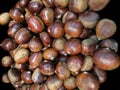 It`s autumn, here is the harvest of chestnuts