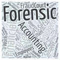 24 Who uses forensic accountants word cloud concept background