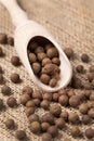 Whole allspice pepper super food in a wooden spoon Royalty Free Stock Photo