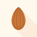 Whole Almond Nut Flat Vector Illustration Royalty Free Stock Photo