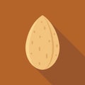 Whole Almond Shell Flat Vector Illustration Royalty Free Stock Photo