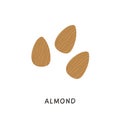 Whole almonds nuts without shell. Simple colored fruits icon. Delicious edible nut hand drawn in minimalistic flat style