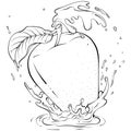 Whole apple with splash line art