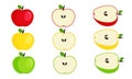 Different colors and parts of apples set. Fruit design elements. Royalty Free Stock Photo