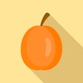 Whole apricot icon, flat style