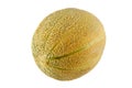 Whole Australian rockmelon Royalty Free Stock Photo