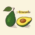 Whole avocado with leaf and slice