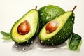 Whole avocado and avocado with a pit. Beautiful still life with avocado close-up on a white background