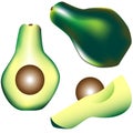 Whole avocado, slice and wedge in vector