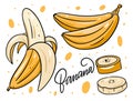 Whole banana, slice and half peeled banana. Hand drawn vector illustration in cartoon style