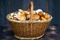 A whole basket of delicious gourmet edible boletus.