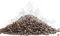 Whole bean coffee. Scattered. Coffee aroma. On white background.