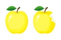 Whole and bitten yellow apples. Vector illustration isolated on