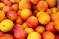 Whole blood oranges at farmer`s market Royalty Free Stock Photo