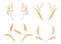 Whole bread grains or field cereal nutritious rye grained agriculture products ear. Symbols for logo design Wheat