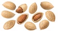 Whole and broken almond nut set isolated on white background Royalty Free Stock Photo