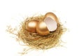 Whole and broken gold eggs