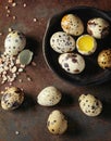 Whole and broken quail eggs Royalty Free Stock Photo