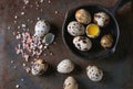 Whole and broken quail eggs Royalty Free Stock Photo