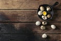 Whole and broken quail eggs Royalty Free Stock Photo