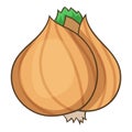 Whole bulb brown onion icon, cartoon style