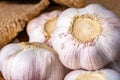 Whole bulb of garlic with scattered cloves close up, blurry background Royalty Free Stock Photo