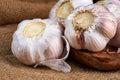 Whole bulb of garlic with scattered cloves close up, blurry background Royalty Free Stock Photo