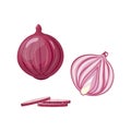 Whole Bulb Red Onion Set. Half, Slice and Rings Purple Onion. Royalty Free Stock Photo