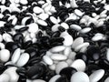 Whole bunch of small black and white small rocks and stones