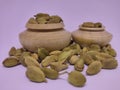 Whole cardamon seeds in traditional spice pot. White background Royalty Free Stock Photo