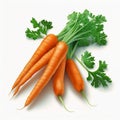 Whole carrots with stalks, orange root