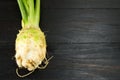 Whole celery on a black table