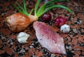 Whole celery root on a metal plate with an ornament