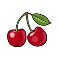 Whole cherry berry with leaf. Vector vintage flat