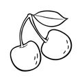 Whole cherry with leaf. Vector vintage engraving