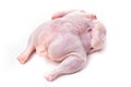 A whole chicken carcass on a white background Royalty Free Stock Photo