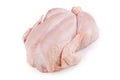 Whole chicken carcass on a white background Royalty Free Stock Photo