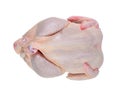 Whole chicken carcasses Royalty Free Stock Photo