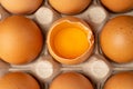 Whole Chicken Eggs and One Broken Closeup, Broken Egg in Carton Pack, Brown Hen Eggs Container Royalty Free Stock Photo