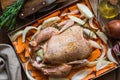 Whole chicken seasoned uncooked in baking tray with chopped vegetables carrots potatoes onions, rosemary, kitchen table