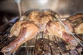 Whole chicken smoked in electric bbq smoker Royalty Free Stock Photo