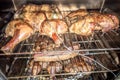 Whole chicken smoked in electric bbq smoker Royalty Free Stock Photo