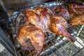 Whole chicken smoked in electric bbq smoker Royalty Free Stock Photo