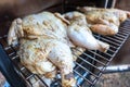 Whole chicken smoked in electric bbq smoker Royalty Free Stock Photo