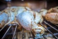 Whole chicken smoked in electric bbq smoker Royalty Free Stock Photo